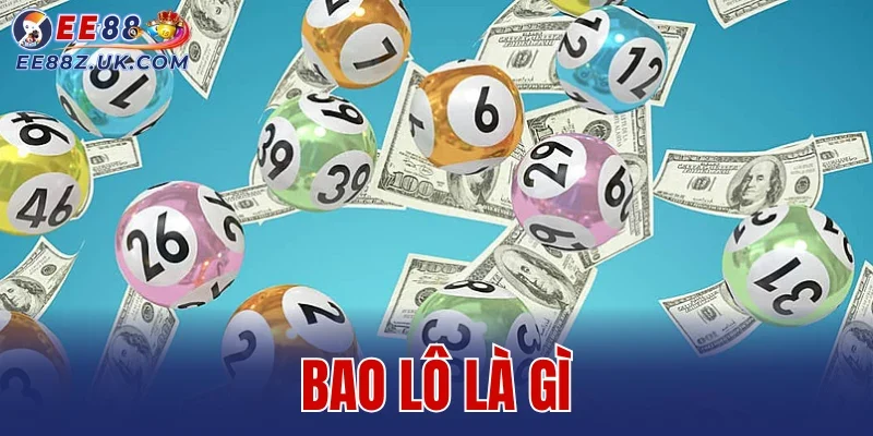 Bao Lô Là Gì